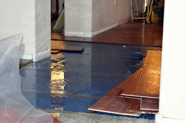 Professional Basement Flood Cleanup technician working in Burghill, OH